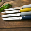 Opinel - Caja de 4 Cuchillos de Mesa N°125 Bon Appétit